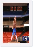 IMG_2044 * 2304 x 3456 * (3.71MB)