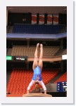 IMG_2070 * 2304 x 3456 * (3.75MB)