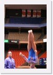 IMG_2078 * 2304 x 3456 * (3.73MB)