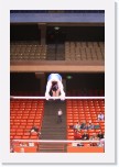 IMG_2155 * 2304 x 3456 * (3.83MB)
