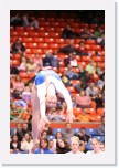 IMG_2315 * 2304 x 3456 * (3.63MB)