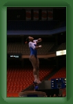 IMG_0166 * 2304 x 3456 * (2.74MB)