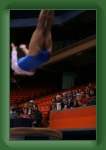 IMG_0169 * 2304 x 3456 * (2.79MB)