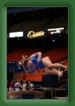 IMG_0185 * 2304 x 3456 * (2.84MB)