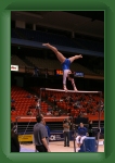 IMG_0191 * 2304 x 3456 * (3.26MB)