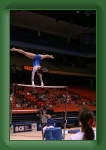 IMG_0203 * 2304 x 3456 * (3.16MB)