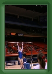 IMG_0204 * 2304 x 3456 * (3.09MB)