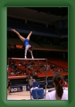 IMG_0205 * 2304 x 3456 * (3.19MB)