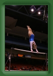 IMG_0219 * 2304 x 3456 * (2.81MB)