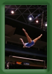IMG_0221 * 2304 x 3456 * (2.76MB)