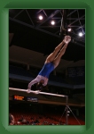 IMG_0230 * 2304 x 3456 * (2.81MB)