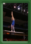 IMG_0231 * 2304 x 3456 * (2.8MB)