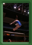IMG_0233 * 2304 x 3456 * (2.75MB)