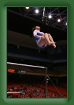 IMG_0238 * 2304 x 3456 * (2.75MB)