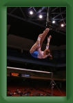 IMG_0246 * 2304 x 3456 * (2.79MB)