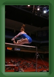 IMG_0247 * 2304 x 3456 * (2.88MB)