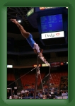 IMG_0258 * 2304 x 3456 * (3.0MB)