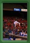 IMG_0270 * 2304 x 3456 * (3.21MB)
