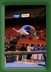 IMG_0307 * 2304 x 3456 * (3.4MB)