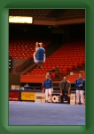 IMG_0453 * 2304 x 3456 * (3.13MB)