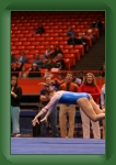 IMG_0457 * 2304 x 3456 * (3.21MB)