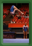 IMG_0937 * 2304 x 3456 * (3.16MB)