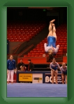 IMG_0945 * 2304 x 3456 * (3.16MB)