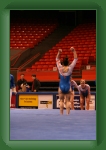 IMG_0946 * 2304 x 3456 * (3.23MB)