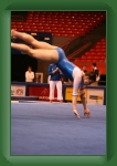 IMG_0950 * 2304 x 3456 * (3.23MB)