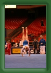 IMG_0965 * 2304 x 3456 * (3.28MB)