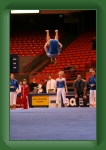 IMG_0967 * 2304 x 3456 * (3.32MB)