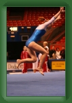 IMG_0976 * 2304 x 3456 * (3.22MB)