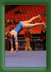 IMG_0978 * 2304 x 3456 * (3.31MB)