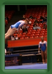 IMG_0981 * 2304 x 3456 * (3.07MB)