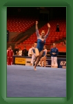 IMG_0987 * 2304 x 3456 * (3.31MB)