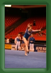 IMG_0988 * 2304 x 3456 * (3.11MB)