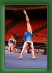 IMG_0989 * 2304 x 3456 * (3.2MB)