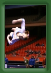 IMG_0991 * 2304 x 3456 * (2.92MB)
