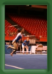 IMG_0998 * 2304 x 3456 * (3.3MB)