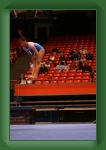 IMG_1005 * 2304 x 3456 * (3.23MB)