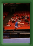 IMG_1006 * 2304 x 3456 * (3.23MB)