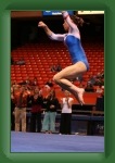 IMG_1009 * 2304 x 3456 * (3.14MB)