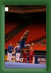 IMG_1013 * 2304 x 3456 * (3.14MB)