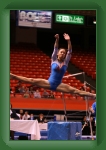 IMG_1019 * 2304 x 3456 * (3.12MB)