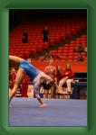 IMG_1021 * 2304 x 3456 * (3.19MB)
