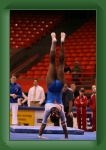 IMG_1032 * 2304 x 3456 * (3.05MB)