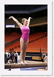 _MG_1186 * 2304 x 3456 * (3.53MB)