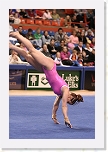 _MG_1321 * 2304 x 3456 * (3.63MB)