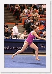 _MG_1327 * 2304 x 3456 * (3.61MB)