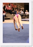 _MG_1341 * 2304 x 3456 * (3.52MB)